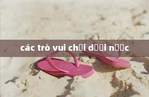 các trò vui chơi dưới nước