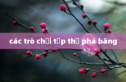 các trò chơi tập thể phá băng