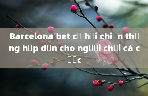 Barcelona bet cơ hội chiến thắng hấp dẫn cho người chơi cá cược