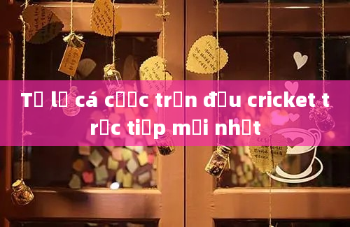 Tỷ lệ cá cược trận đấu cricket trực tiếp mới nhất