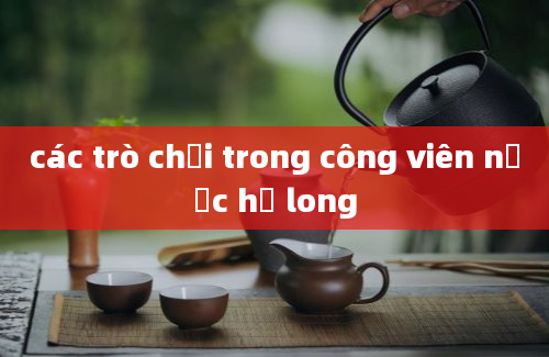 các trò chơi trong công viên nước hạ long