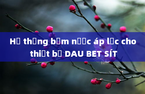 Hệ thống bơm nước áp lực cho thiết bị DAU BET SÍT