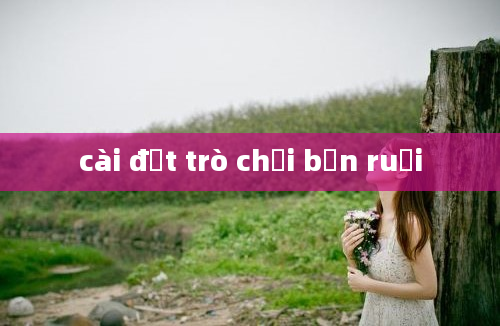 cài đặt trò chơi bắn ruồi