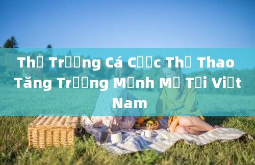 Thị Trường Cá Cược Thể Thao Tăng Trưởng Mạnh Mẽ Tại Việt Nam