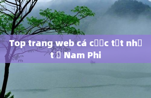 Top trang web cá cược tốt nhất ở Nam Phi