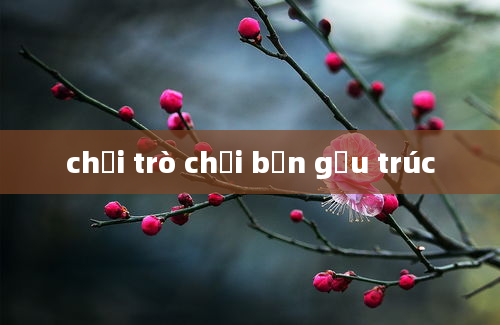 chơi trò chơi bắn gấu trúc