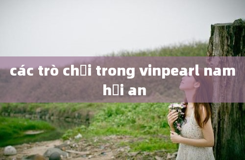 các trò chơi trong vinpearl nam hội an