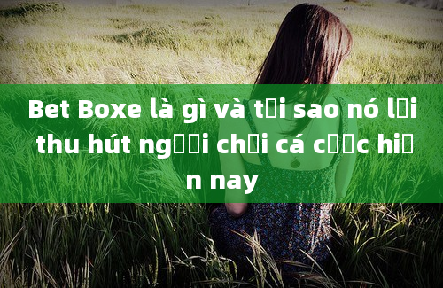 Bet Boxe là gì và tại sao nó lại thu hút người chơi cá cược hiện nay