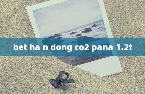 bet ha n dong co2 pana 1.2t