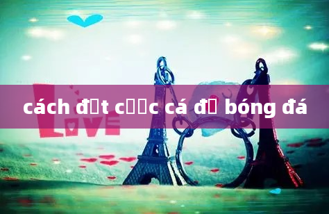 cách đặt cược cá độ bóng đá