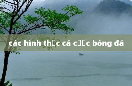 các hình thức cá cược bóng đá