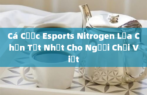 Cá Cược Esports Nitrogen Lựa Chọn Tốt Nhất Cho Người Chơi Việt