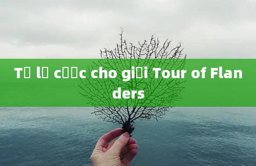 Tỷ lệ cược cho giải Tour of Flanders