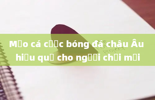 Mẹo cá cược bóng đá châu Âu hiệu quả cho người chơi mới