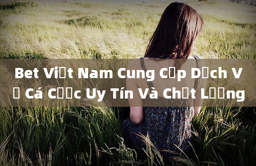 Bet Việt Nam Cung Cấp Dịch Vụ Cá Cược Uy Tín Và Chất Lượng