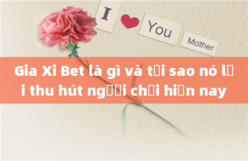 Gia Xi Bet là gì và tại sao nó lại thu hút người chơi hiện nay