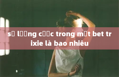 số lượng cược trong một bet trixie là bao nhiêu