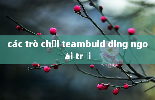 các trò chơi teambuid ding ngoài trời