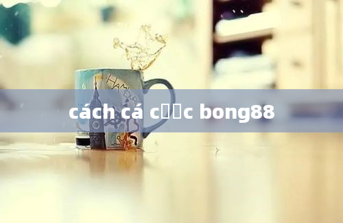 cách cá cược bong88