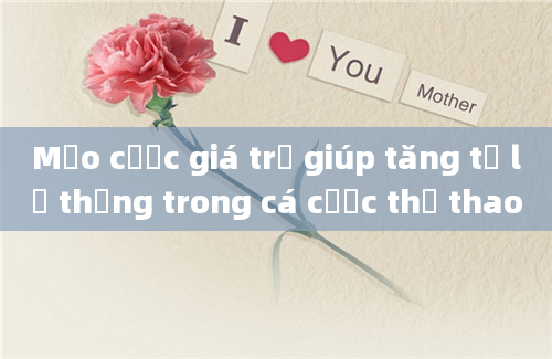 Mẹo cược giá trị giúp tăng tỷ lệ thắng trong cá cược thể thao