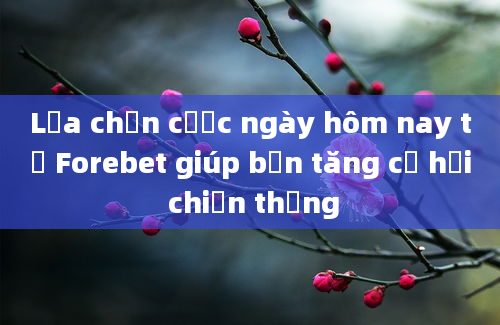 Lựa chọn cược ngày hôm nay từ Forebet giúp bạn tăng cơ hội chiến thắng