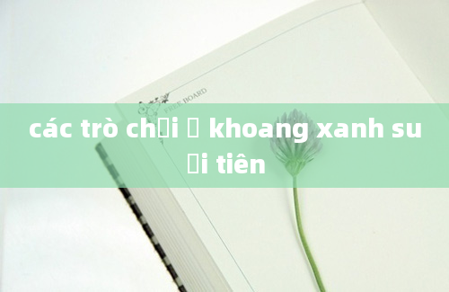 các trò chơi ở khoang xanh suối tiên