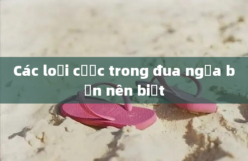 Các loại cược trong đua ngựa bạn nên biết