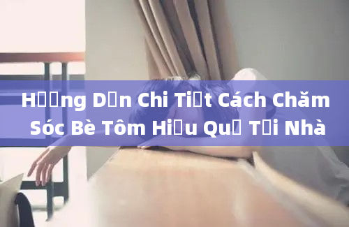 Hướng Dẫn Chi Tiết Cách Chăm Sóc Bè Tôm Hiệu Quả Tại Nhà