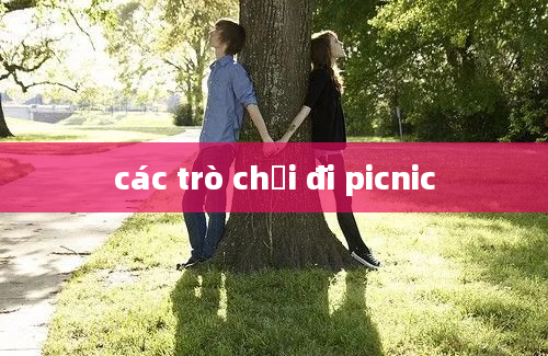 các trò chơi đi picnic