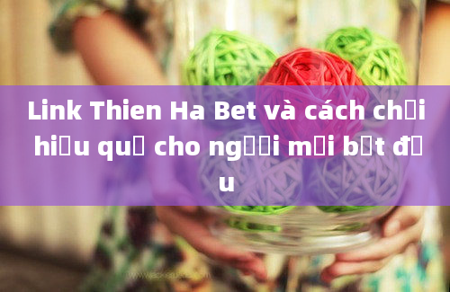 Link Thien Ha Bet và cách chơi hiệu quả cho người mới bắt đầu