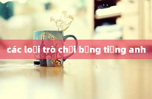 các loại trò chơi bằng tiếng anh