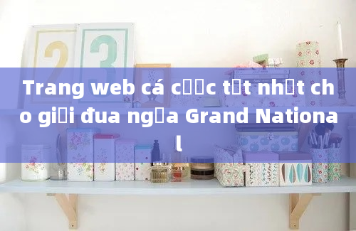 Trang web cá cược tốt nhất cho giải đua ngựa Grand National