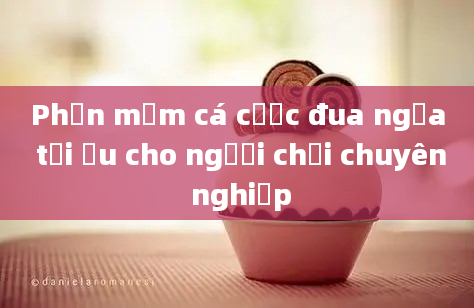 Phần mềm cá cược đua ngựa tối ưu cho người chơi chuyên nghiệp