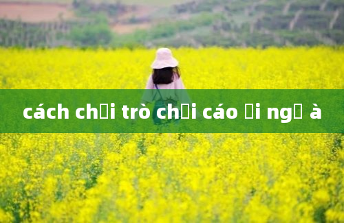 cách chơi trò chơi cáo ơi ngủ à