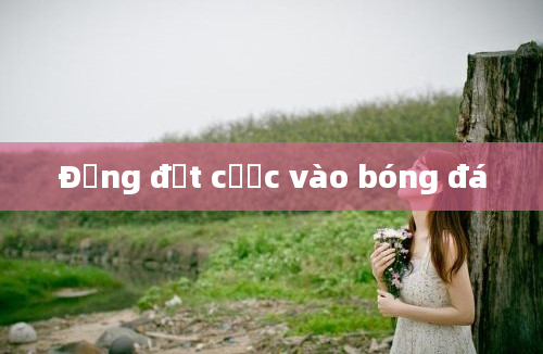 Đừng đặt cược vào bóng đá