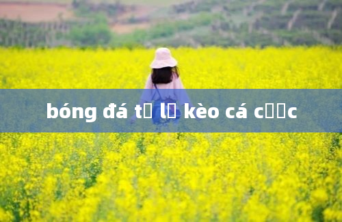 bóng đá tỷ lệ kèo cá cược