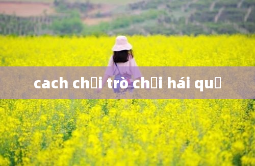 cach chơi trò chơi hái quả