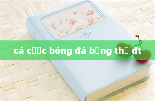 cá cược bóng đá bằng thẻ đt