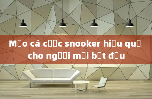 Mẹo cá cược snooker hiệu quả cho người mới bắt đầu