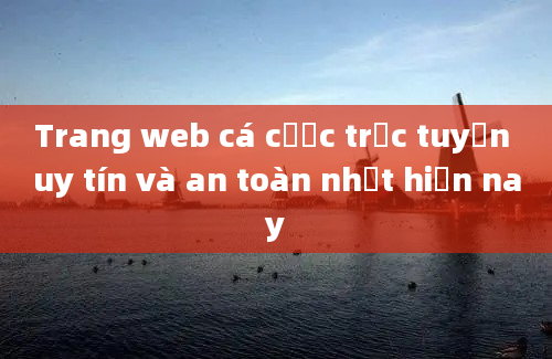 Trang web cá cược trực tuyến uy tín và an toàn nhất hiện nay