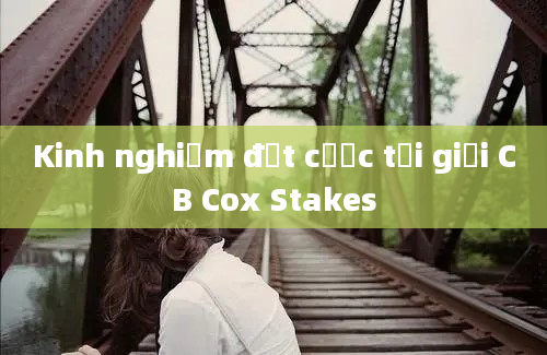 Kinh nghiệm đặt cược tại giải CB Cox Stakes