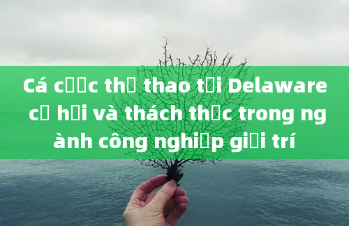 Cá cược thể thao tại Delaware cơ hội và thách thức trong ngành công nghiệp giải trí