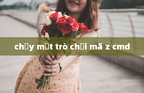 chạy một trò chơi mã z cmd