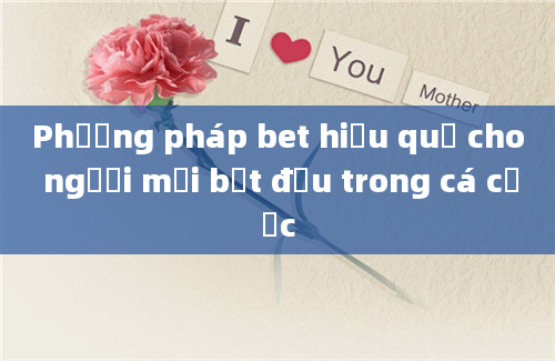 Phương pháp bet hiệu quả cho người mới bắt đầu trong cá cược