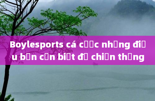 Boylesports cá cược những điều bạn cần biết để chiến thắng