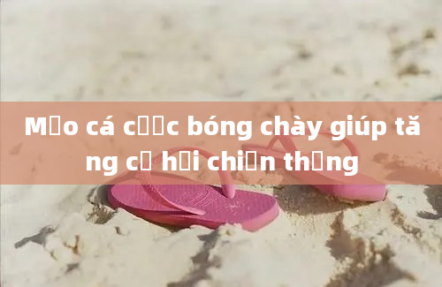 Mẹo cá cược bóng chày giúp tăng cơ hội chiến thắng