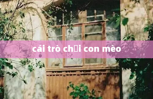 cái trò chơi con mèo