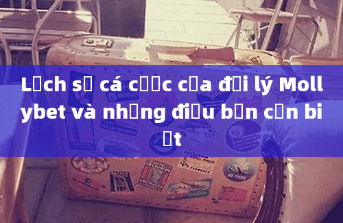 Lịch sử cá cược của đại lý Mollybet và những điều bạn cần biết