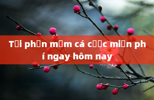 Tải phần mềm cá cược miễn phí ngay hôm nay