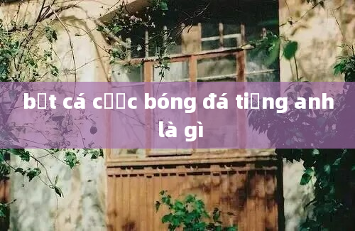 bắt cá cược bóng đá tiếng anh là gì